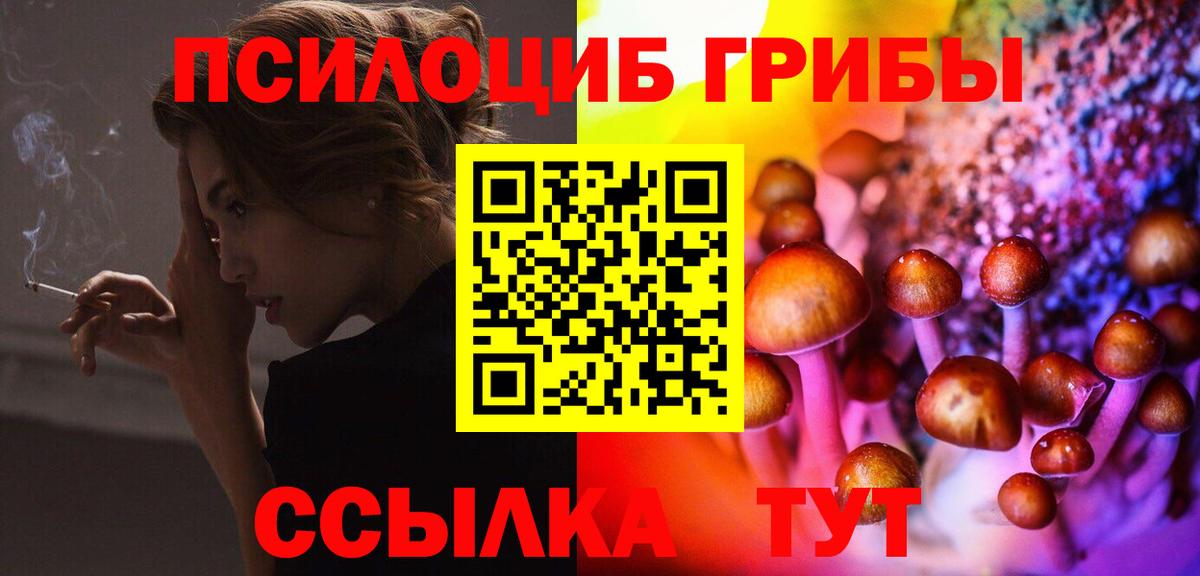 Избербаш  Псилоцибиновые грибы Psilocybine cubensis  Вход с VPN 